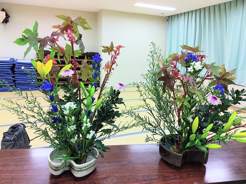 緑色、白、赤、紫など彩美しい写真です